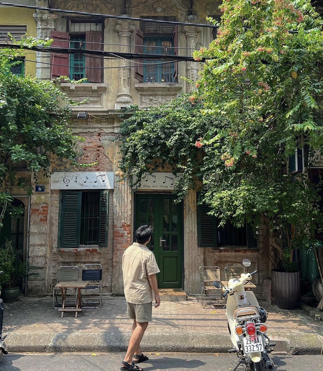 Embrace autumn in your lap at love cafes in Hanoi - Photo 7.