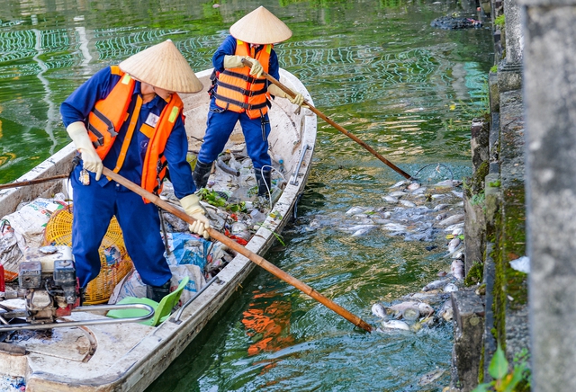  Hà Nội: Công nhân khẩn trương vớt cá chết nổi trên mặt hồ Tây - Ảnh 8.
