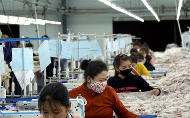 Công nhân đang làm việc tại một nhà máy trên địa bàn tỉnh Bình Định. Ảnh: Nguyễn Tri