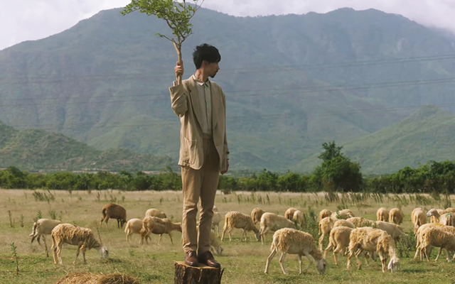 Những cánh đồng thả cừu ấn tượng ở Việt Nam khiến hội mê sống ảo đứng ngồi không yên - Ảnh 17.