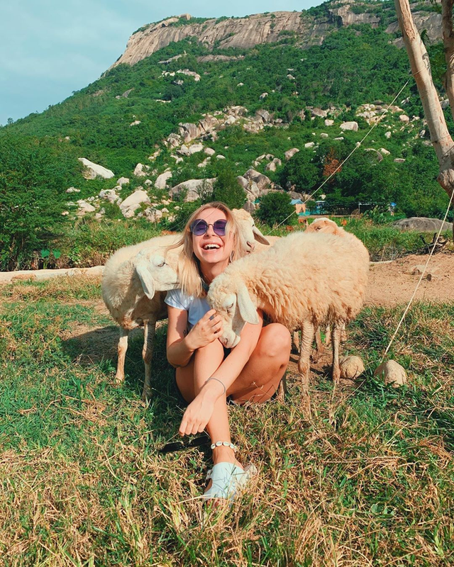 Impressive sheep grazing fields in Vietnam make the virtual life enthusiasts stand still - Photo 13.