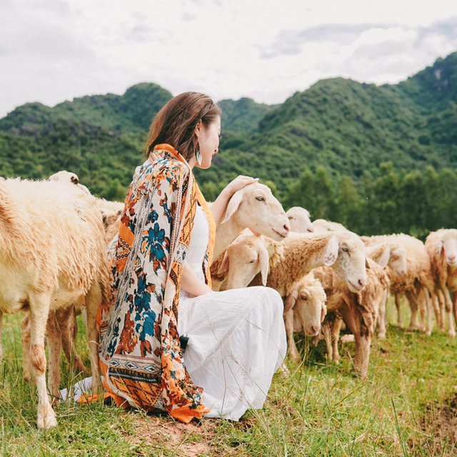 Những cánh đồng thả cừu ấn tượng ở Việt Nam khiến hội mê sống ảo đứng ngồi không yên - Ảnh 4.