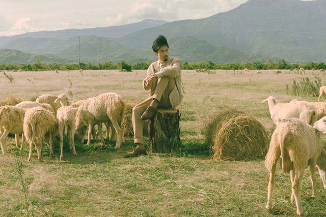 Những cánh đồng thả cừu ấn tượng ở Việt Nam khiến hội mê sống ảo đứng ngồi không yên - Ảnh 18.