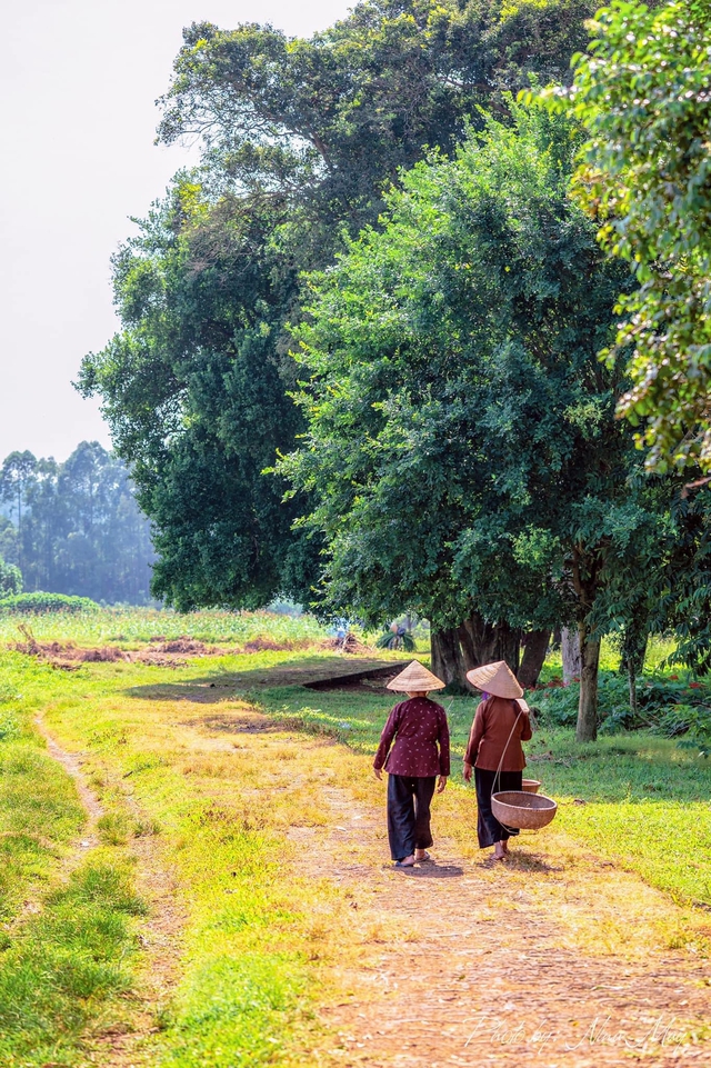 Lost in the old space with time-stained villages stretching across Vietnam - Photo 10.