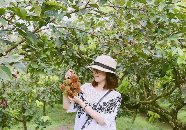 If you go to the West, remember to visit famous fruit gardens to manually pick and enjoy delicious fruits on the spot - Photo 7.