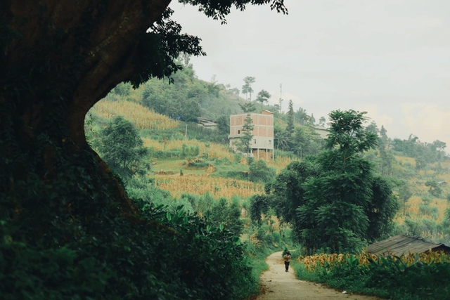 Lost in the old space with time-stained villages stretching across Vietnam - Photo 6.