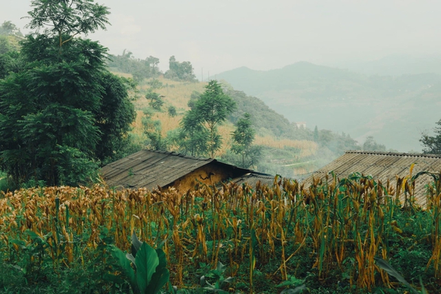 Lost in the old space with time-stained villages stretching across Vietnam - Photo 5.