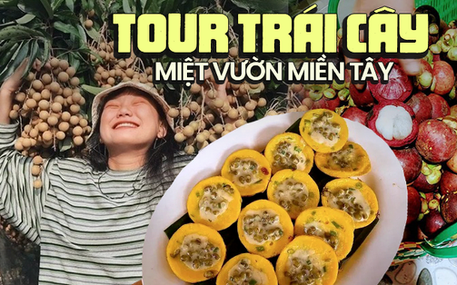 Có đi miền Tây, nhớ ghé các vườn trái cây nổi tiếng để tự tay hái và thưởng thức trái ngon ngay tại chỗ