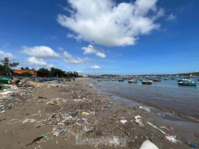Bờ biển Quảng Ngãi ngập rác thải gây ô nhiễm - Ảnh 7.