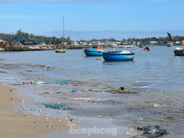 Bờ biển Quảng Ngãi ngập rác thải gây ô nhiễm - Ảnh 3.
