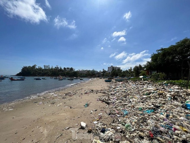 Bờ biển Quảng Ngãi ngập rác thải gây ô nhiễm - Ảnh 2.