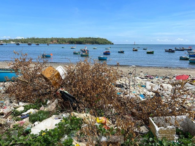 Bờ biển Quảng Ngãi ngập rác thải gây ô nhiễm - Ảnh 8.