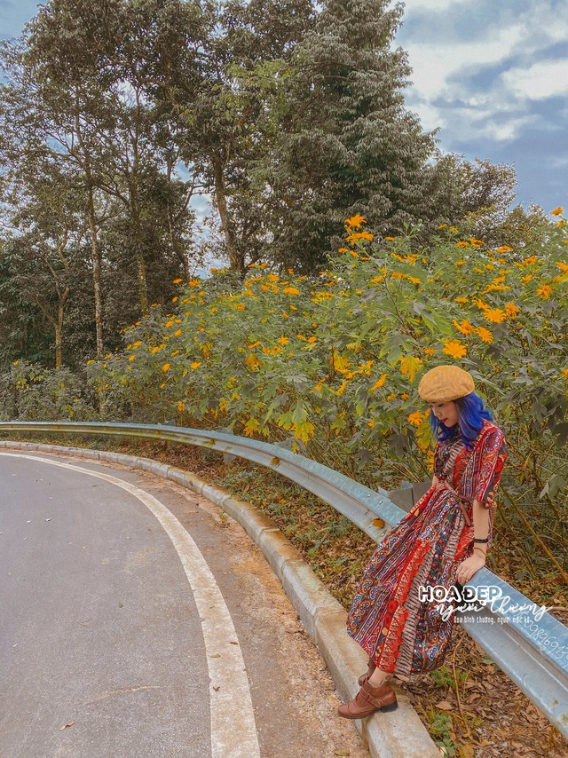 Watching wild sunflowers bloom in Ba Vi National Park - Photo 11.