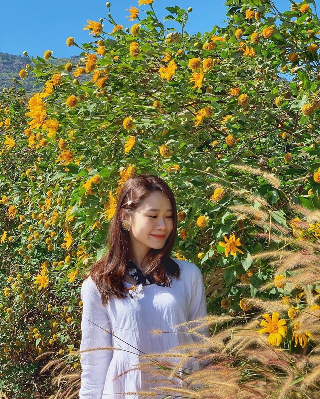 Watching wild sunflowers bloom in Ba Vi National Park - Photo 19.