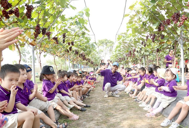 Choáng ngợp trước vườn nho sai trĩu quả thu hút đông đảo khách tham quan ở Ninh Bình - Ảnh 5.