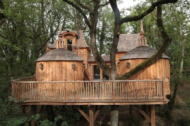 10 ngôi nhà trên cây với thiết kế ấn tượng - Ảnh 4.