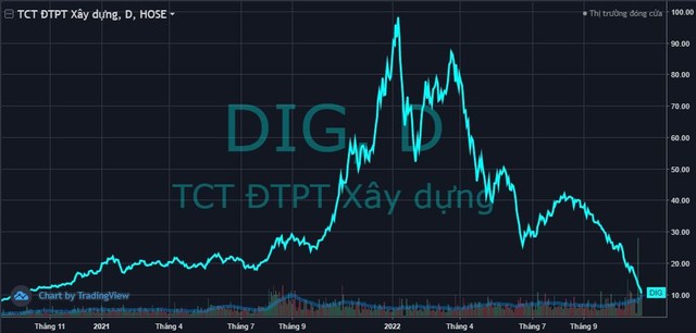 Gia đình Chủ tịch DIC Corp (DIG) cùng cổ đông lớn bán ròng hơn 6% công ty trong một tháng - Ảnh 2.