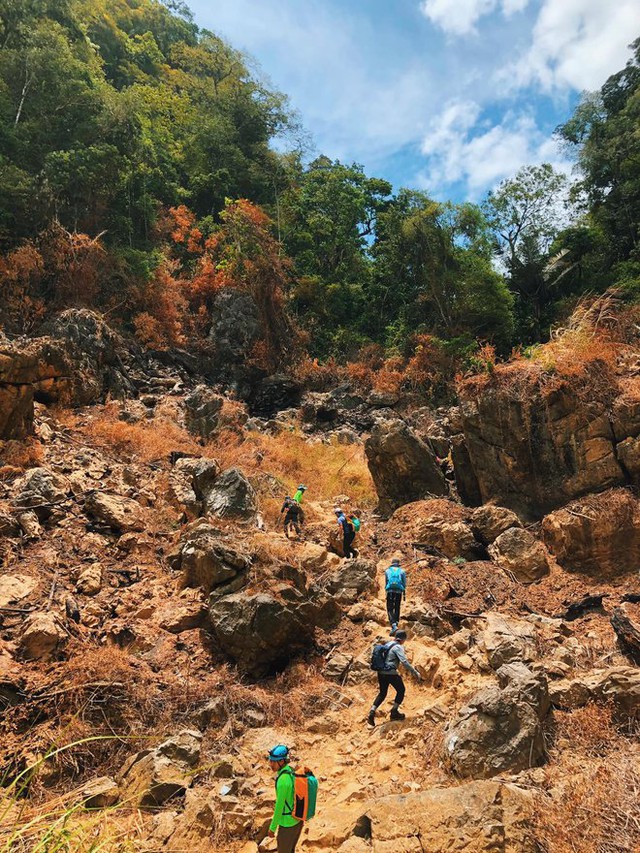 Discover the magnificent and unspoiled beauty of the "cave kingdom" of Quang Binh - Photo 36.