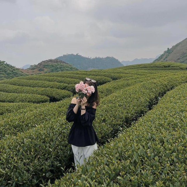 A schedule of 2 days 1 night to see canola flowers and explore the green steppe of Moc Chau for busy people - Photo 17.