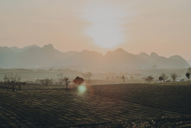 The scenery of Moc Chau in the early winter days makes the virtual life enthusiasts impossible to miss - Photo 33.
