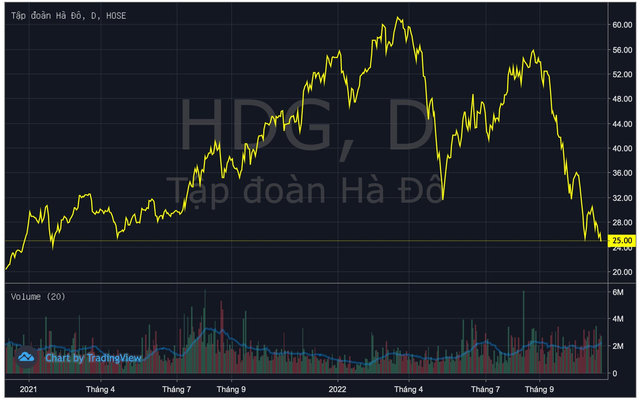 Thị giá giảm sâu, Dragon Capital gia tăng sở hữu cổ phiếu Vĩnh Hoàn (VHC) và Hà Đô (HDG) - Ảnh 3.