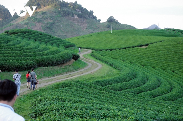 Địa phương kỳ vọng du lịch phát triển, đổi đời nhờ có sân bay - Ảnh 3.