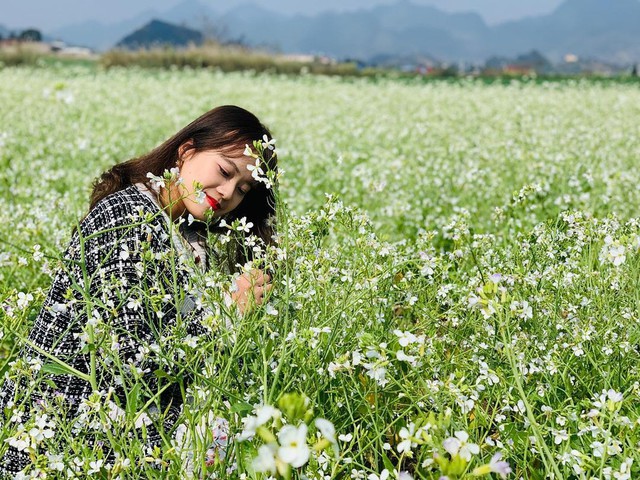 A schedule of 2 days 1 night to see canola flowers and explore the green steppe Moc Chau for busy people - Photo 28.