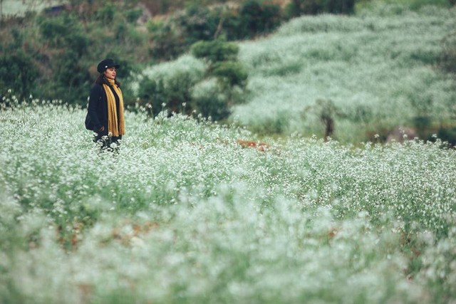 A schedule of 2 days 1 night to see canola flowers and explore the green steppe of Moc Chau for busy people - Photo 27.