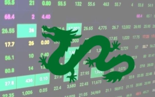 Thị giá giảm sâu, Dragon Capital gia tăng sở hữu cổ phiếu Vĩnh Hoàn (VHC) và Hà Đô (HDG)