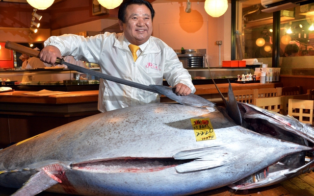 Tại sao người Nhật không ăn cá sông mà chỉ thích cá biển?