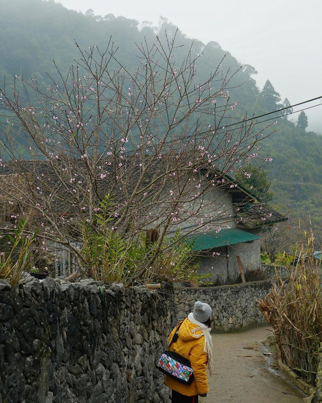 Hà Giang đang vào mùa đẹp nhất, ghé ngay những ngôi làng cổ đẹp và yên bình - Ảnh 6.