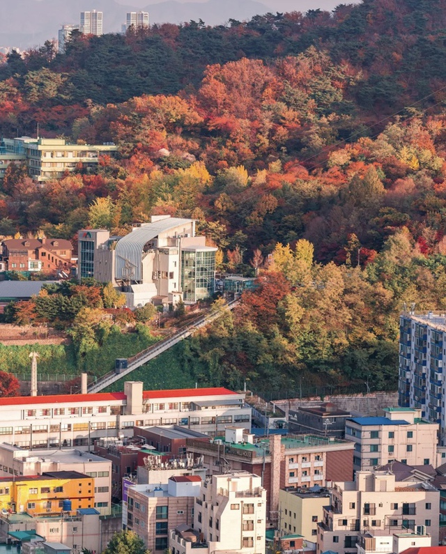 Choáng ngợp khung cảnh mùa thu Hàn Quốc, lá vàng lá đỏ rực sắc đẹp như phim - Ảnh 7.