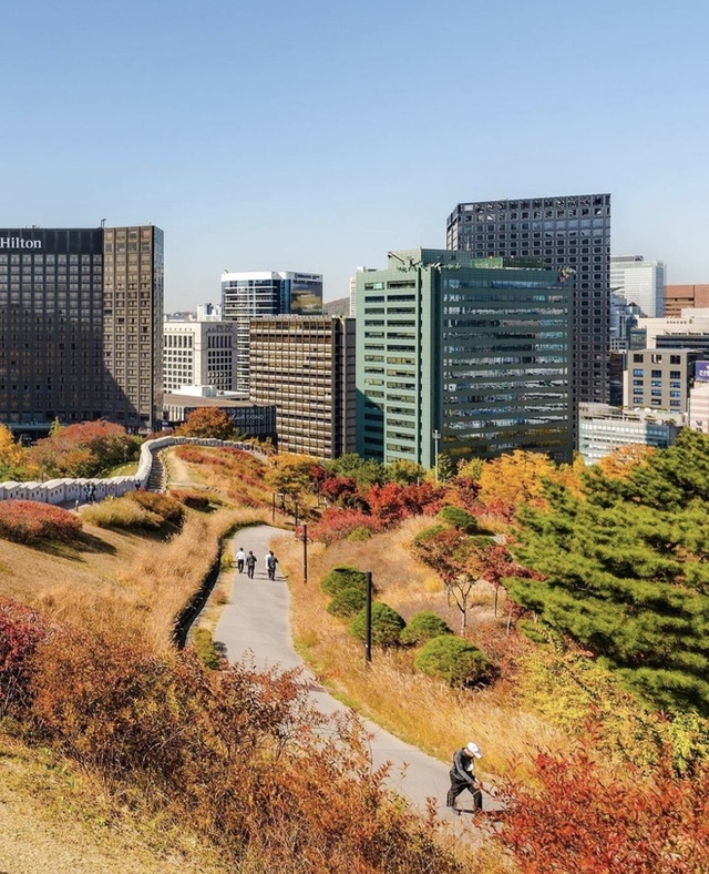 Choáng ngợp khung cảnh mùa thu Hàn Quốc, lá vàng lá đỏ rực sắc đẹp như phim - Ảnh 2.