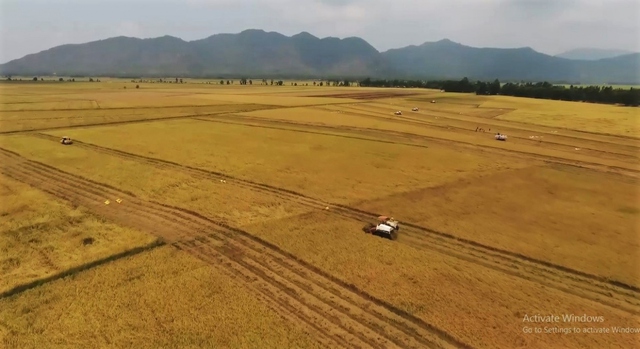 Một quyết sách táo bạo của Thủ tướng Võ Văn Kiệt làm thay đổi vùng đất hoang hóa - Ảnh 5.