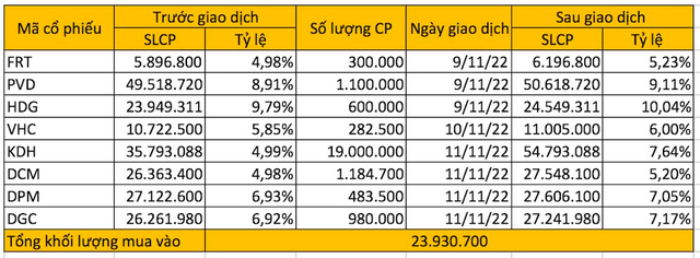 Dragon Capital đẩy mạnh gom cổ phiếu sau giai đoạn lướt sóng hạ tỷ trọng - Ảnh 1.