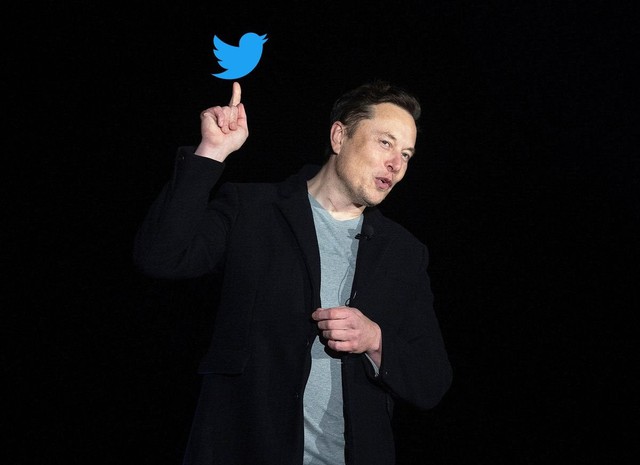 Elon Musk cân nhắc từ chức CEO Tesla, tuyên bố không muốn làm Giám đốc điều hành bất kỳ công ty nào - Ảnh 1.