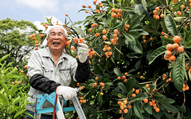 Lao động nước ngoài không muốn đến Nhật