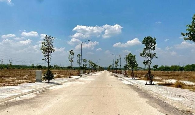 Thu hồi 1.500ha đất để thực hiện hàng chục dự án ở Bình Thuận - Ảnh 1.