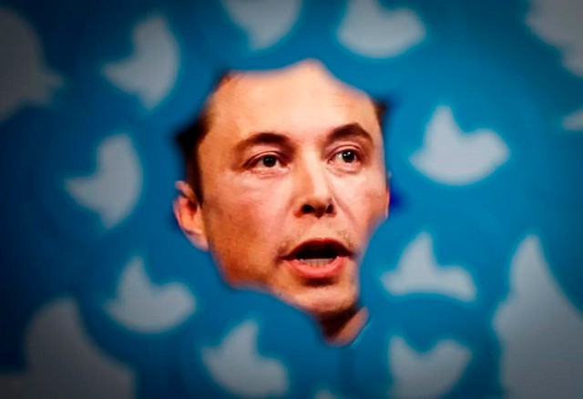Cuộc tháo chạy của nhân viên Twitter khỏi đế chế Elon Musk - Ảnh 3.