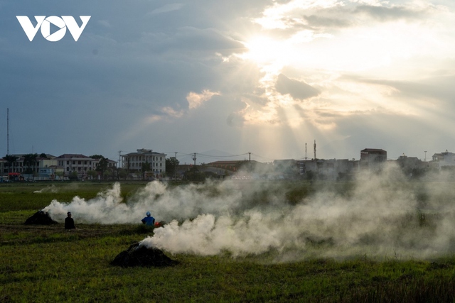 Nông dân ngoại thành Hà Nội đốt rơm rạ, khói mù mịt bủa vây người đi đường - Ảnh 5.