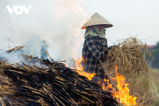 Nông dân ngoại thành Hà Nội đốt rơm rạ, khói mù mịt bủa vây người đi đường - Ảnh 15.