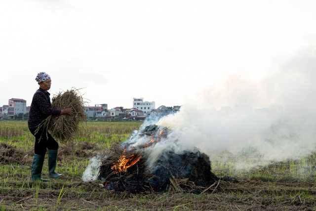 Nông dân ngoại thành Hà Nội đốt rơm rạ, khói mù mịt bủa vây người đi đường - Ảnh 14.