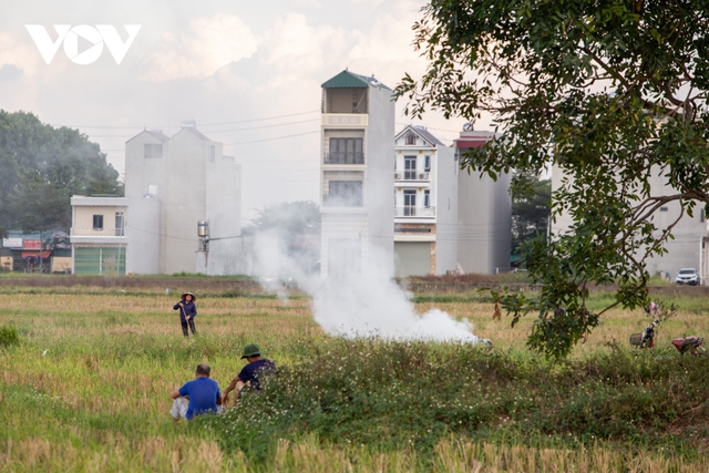 Nông dân ngoại thành Hà Nội đốt rơm rạ, khói mù mịt bủa vây người đi đường - Ảnh 13.