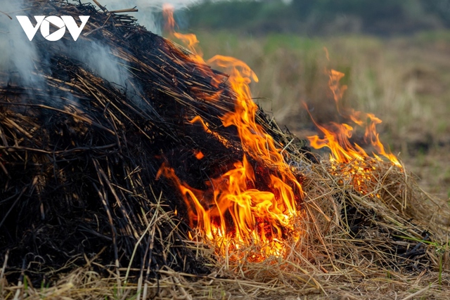 Nông dân ngoại thành Hà Nội đốt rơm rạ, khói mù mịt bủa vây người đi đường - Ảnh 12.