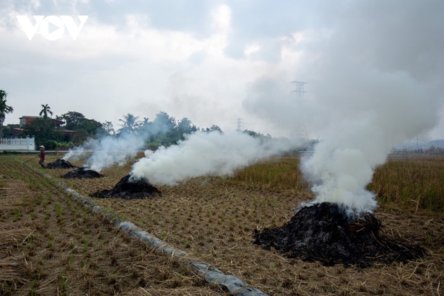 Nông dân ngoại thành Hà Nội đốt rơm rạ, khói mù mịt bủa vây người đi đường - Ảnh 11.