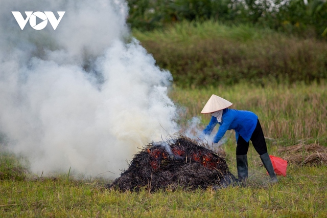 Nông dân ngoại thành Hà Nội đốt rơm rạ, khói mù mịt bủa vây người đi đường - Ảnh 10.