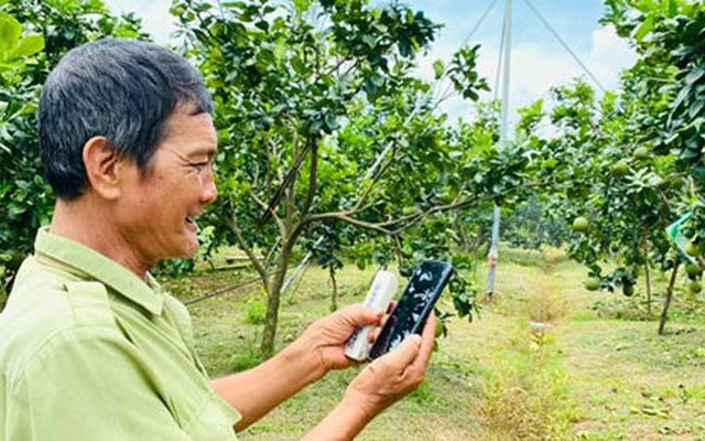 Nông dân ở ĐBSCL thao tác trên điện thoại để điều khiển hệ thống phun tưới nước tự động cho vườn cây ăn trái Ảnh: NGỌC TRINH