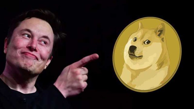Meme coins hồi sinh hay ăn theo ông chủ của Tesla? - Ảnh 2.