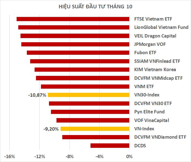 Hiệu suất các quỹ đầu tư cổ phiếu tiếp tục âm nặng trong tháng 10, hai tên tuổi lớn thua lỗ gần 50% kể từ đầu năm - Ảnh 1.