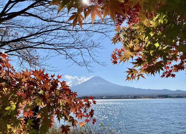 Vẻ đẹp mộng mơ của mùa thu Nhật Bản, xem xong chỉ muốn xách vali lên đường - Ảnh 60.